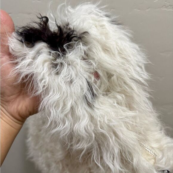 Natural Tigrado Curly Lamb Fur Tote/Handmade Shearling Top Handle Bag/Crossbody - Picture 15 of 16